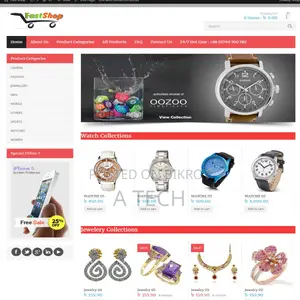 Website For Your Business Or E Commerce service