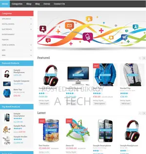 Website For Your Business Or E Commerce service
