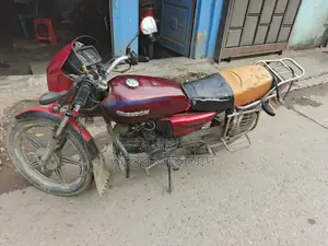 Freedom Runner Fresh Condition 2015