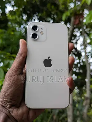 Apple iPhone 12 Pro Max (Used)