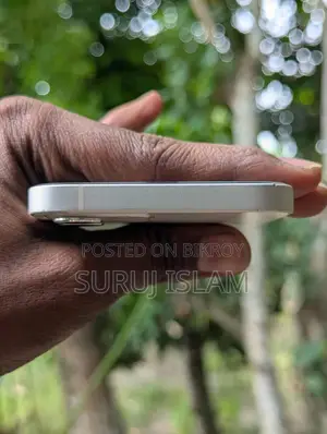 Apple iPhone 12 Pro Max (Used)