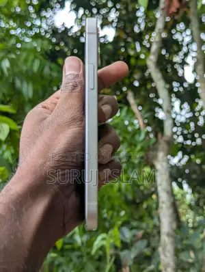Apple iPhone 12 Pro Max (Used)