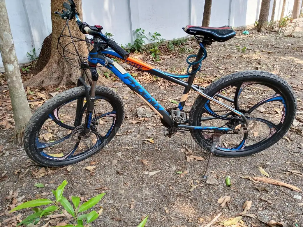 Phoenix Raptor