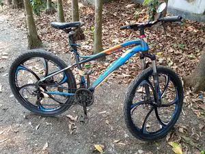 Phoenix Raptor