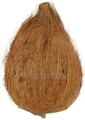 নারিকেল বড় সাইজ