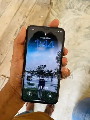 Apple iPhone 11 Pro 256 (Used)