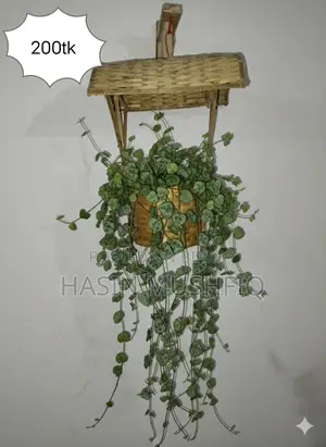 Plant Shelf