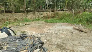 জমি বিক্রি