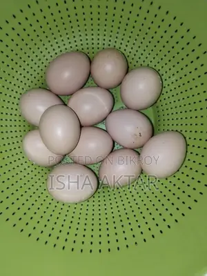 দেশী মুরগি খাওয়ার ডিম