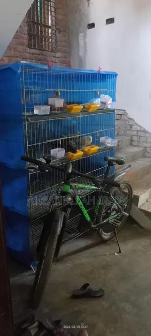 কবুতর খাঁচা