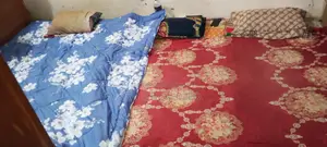 Need a roommate for April