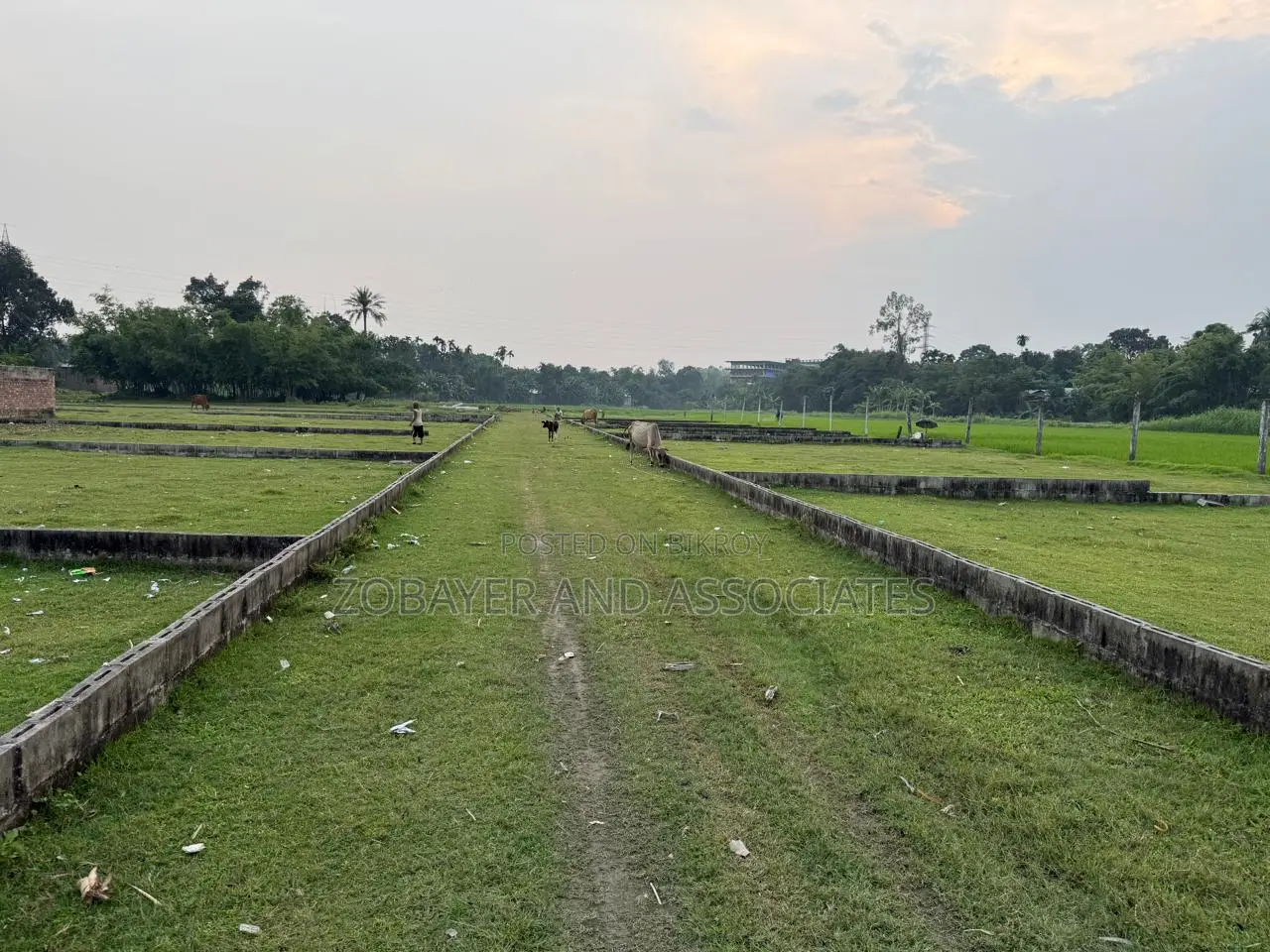 ৭ ডেসিমেল আবাসিক প্লট