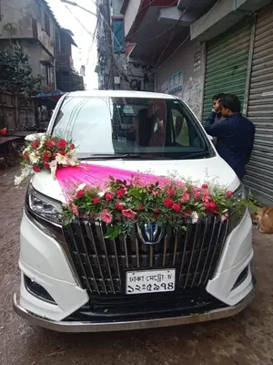 Alpat For Rent New