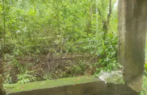 জমি বিক্রয়
