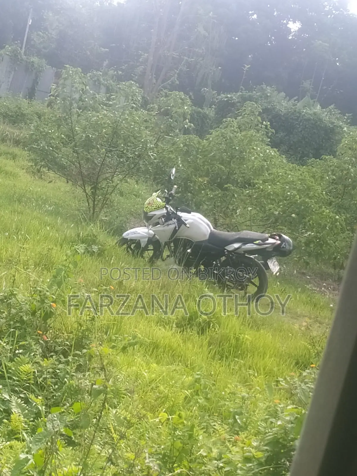 Yamaha 2015