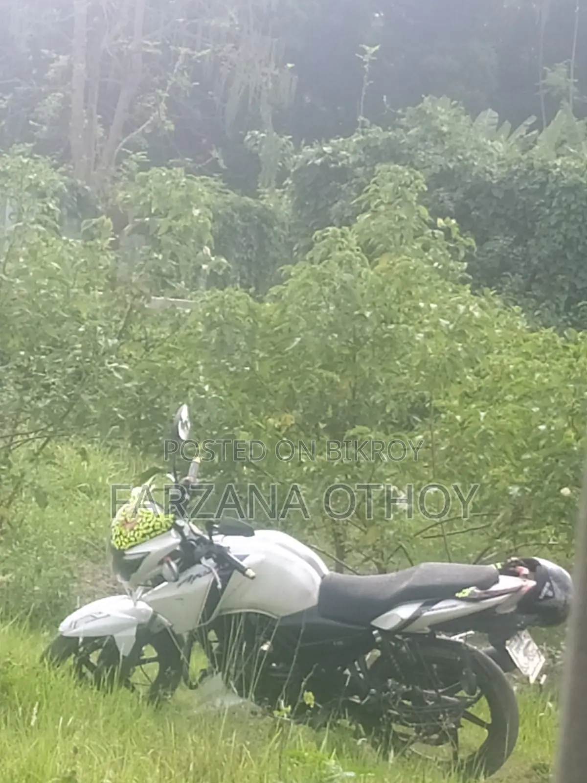 Yamaha 2015