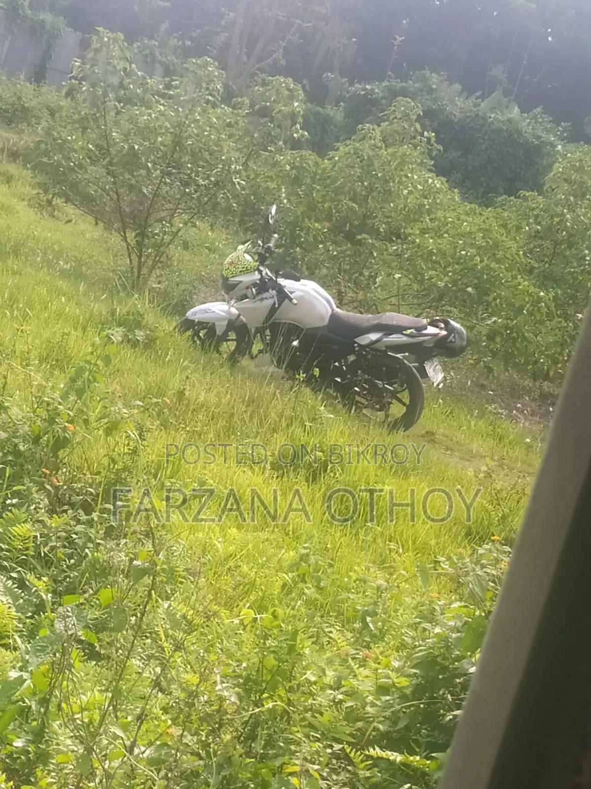 Yamaha 2015