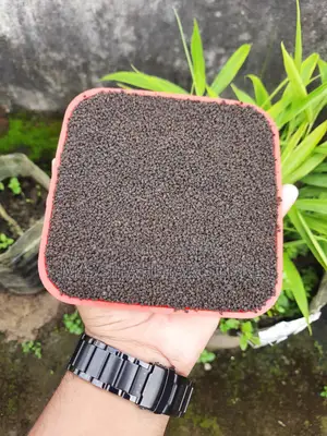 MODHUPUR SPECIAL TEA LEAVES (PREMIUM QUALITY)