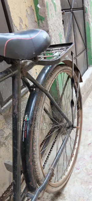 Phoenix Bicycle for sale