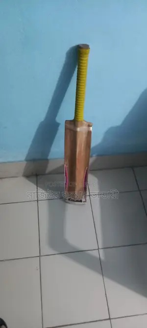 Used Cricket Bat