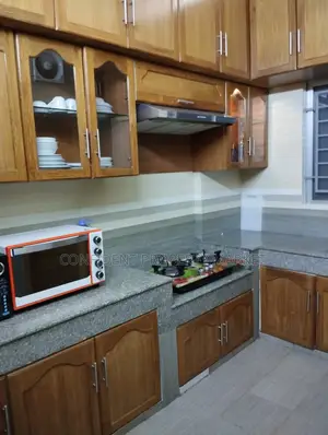 Full Furnished Apartment For Rent In Gulshan