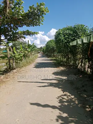 Roadside Land, Clear Documents