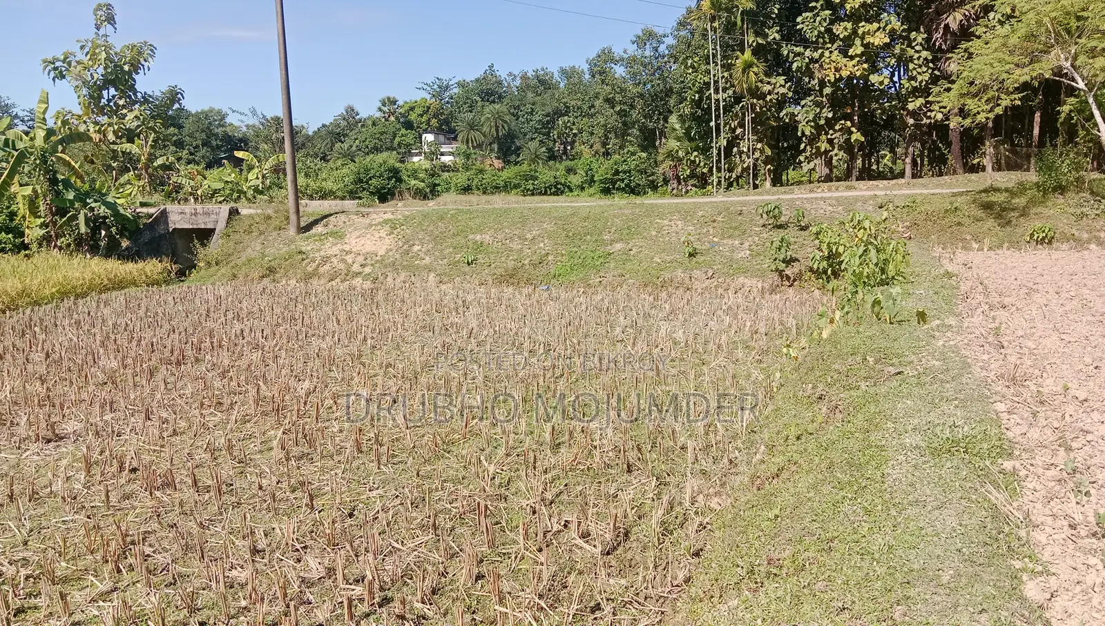 Roadside Land, Clear Documents