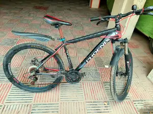 Phoenix 26 Inch Body Good Condition