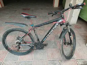 Phoenix 26 Inch Body Good Condition