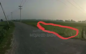 দর্শনা পল্লী বিদ্যুৎ রোডে শেখপাড়া রাস্তা