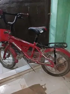 Duronto Bicycle