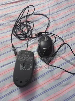 Logitech and Max Mouse
