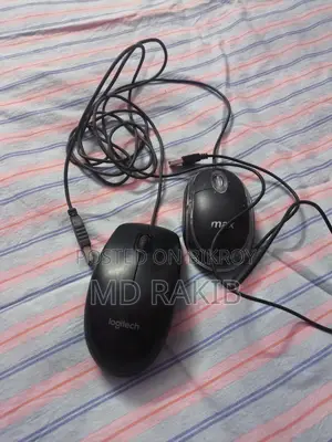 Logitech and Max Mouse