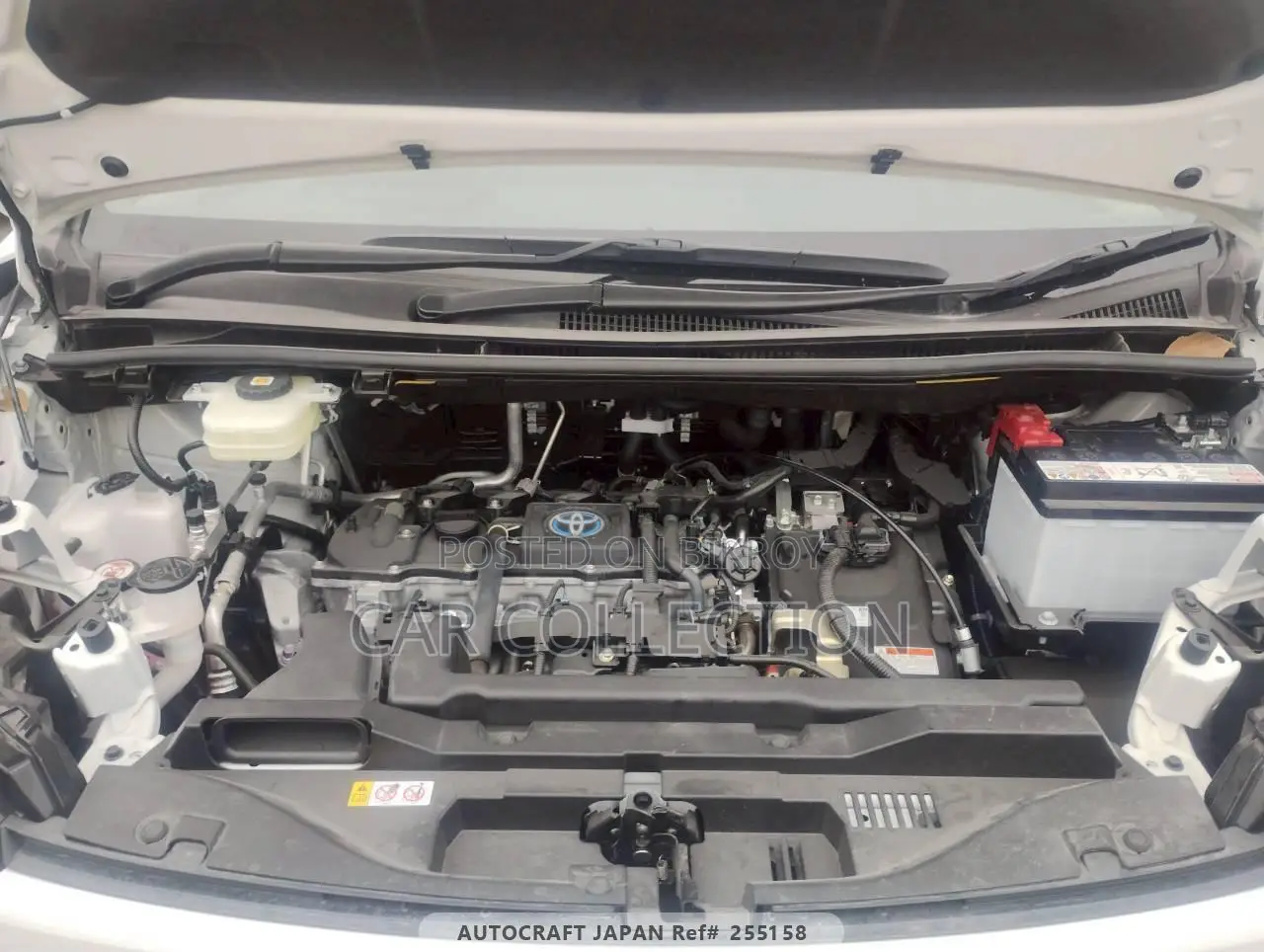 Toyota Voxy S-Z, PEARL 2024