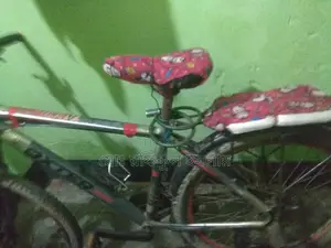 Great bike, just needs a gear adjustment, runs smoothly otherwise