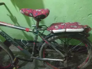 Great bike, just needs a gear adjustment, runs smoothly otherwise