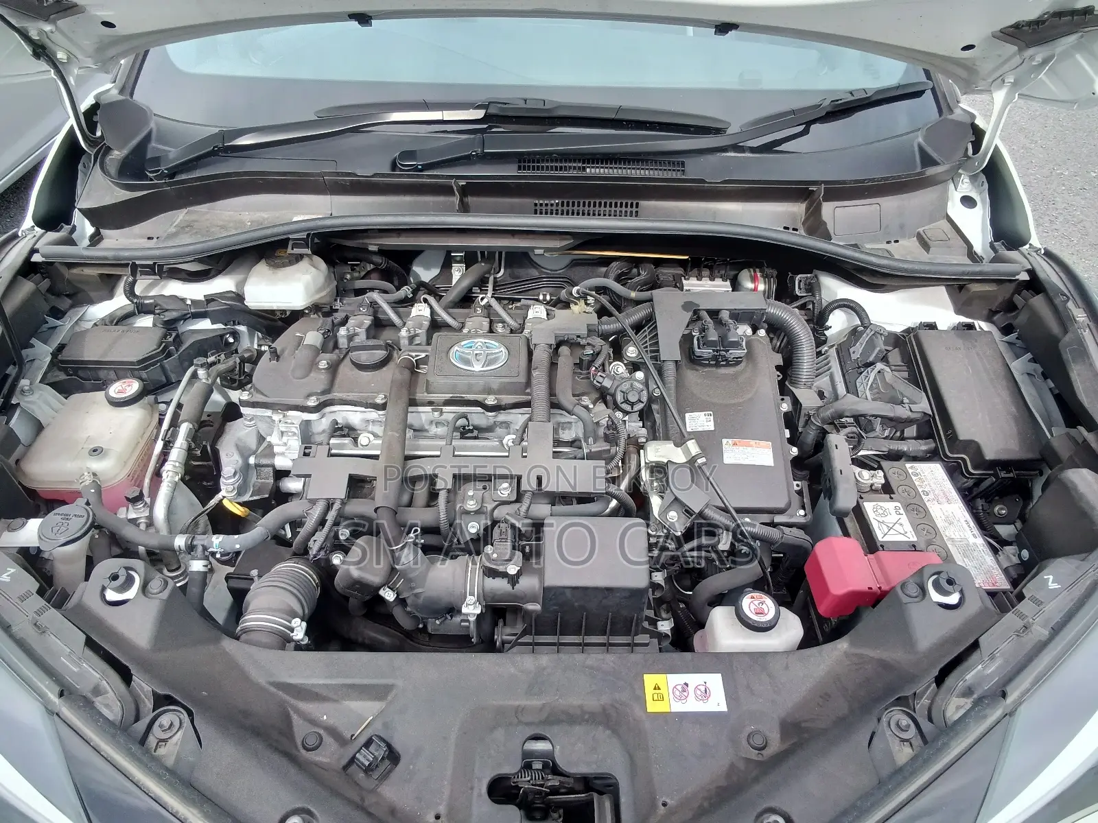 Toyota C-HR SGR Sports Pearl 2020