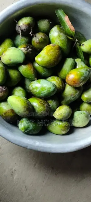 Paka Mango sell