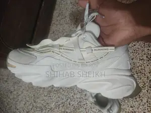 Thick Soled Daddy Trendy Shoes