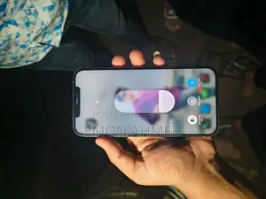 Apple iPhone 12 Pro Max 256 gb (ব্যবহৃত)