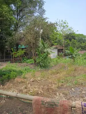 রূপগঞ্জে মেট্রোরেল পাশে ৬ শতাংশ জমি | ভবিষ্যতের স্মার্ট ইনভেস্টমেন্ট!