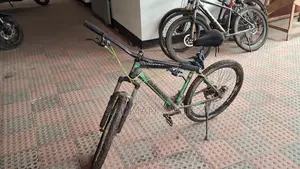 Phoenix Bicycle for Sell