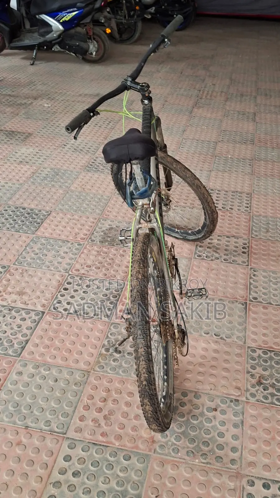 Phoenix Bicycle for Sell