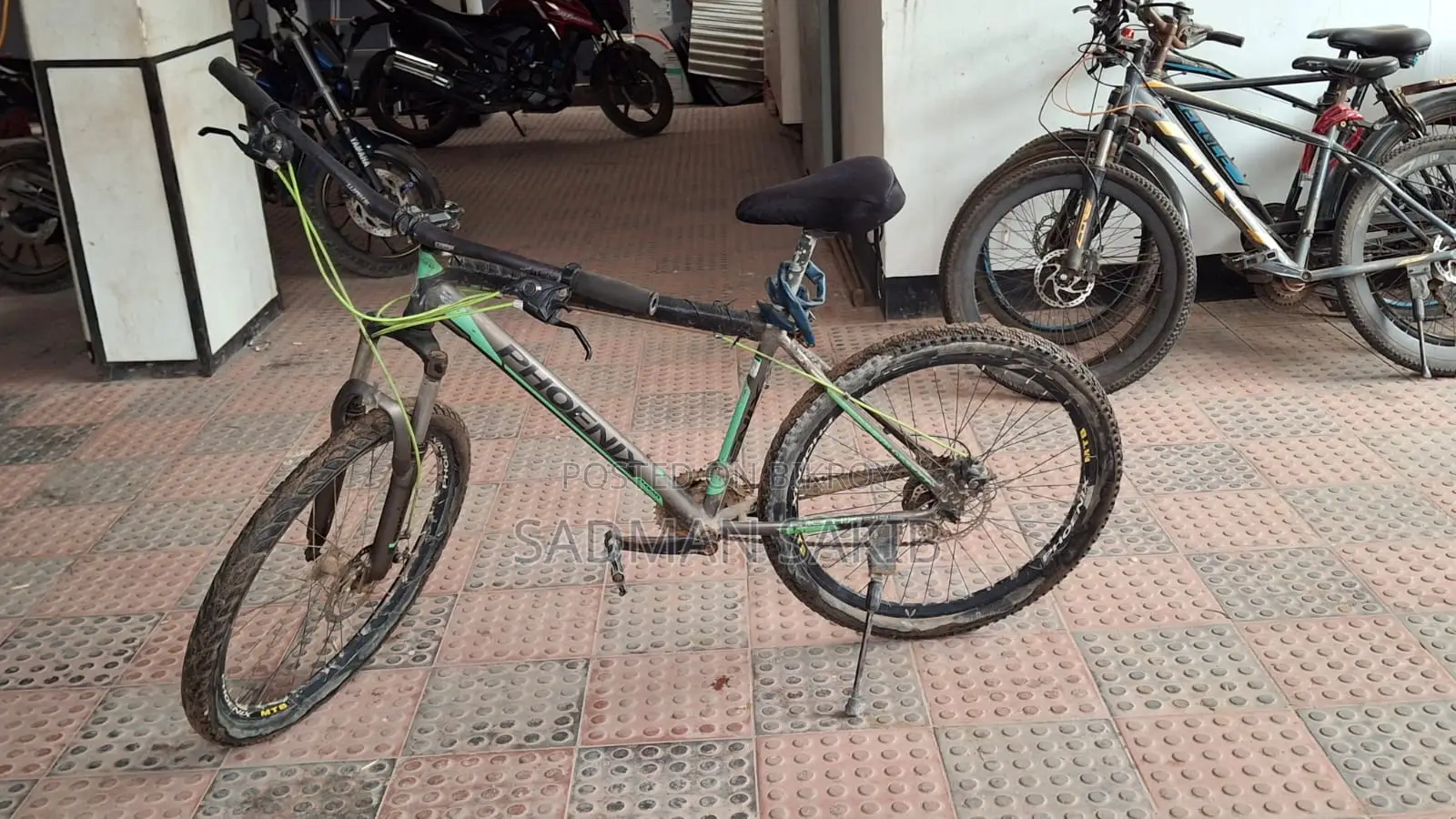 Phoenix Bicycle for Sell