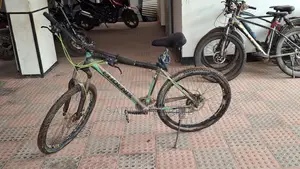 Phoenix Bicycle for Sell