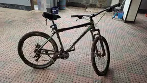 Phoenix Bicycle for Sell