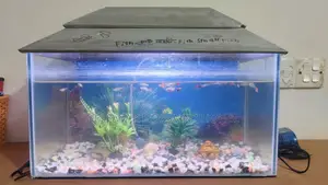 Aquarium Fish Used