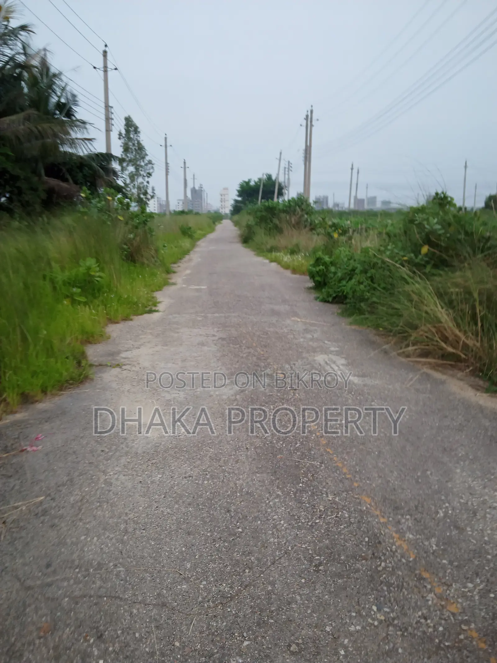 5 Katha Park-Facing Plot near 300ft Road, Sector-9