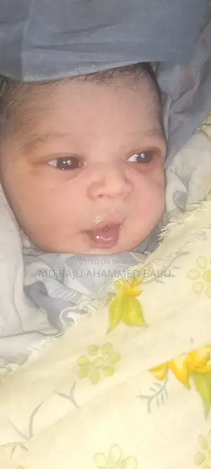 ভারী যানবাহন চালক প্রয়োজন