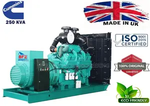 250kVA Cummins Diesel Generator | Stamford Alternator
